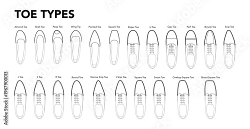 Toe types diagram single line pair. Pointed, almond, square shell shapes for learning, professional reference design education. Technical fashion illustration CAD mockup clean vector men women unisex
