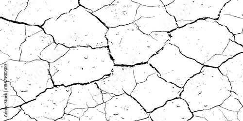 Closeup of dry fissure ground. White dried and cracked ground earth background.Gray crack on earth texture. erosion.	