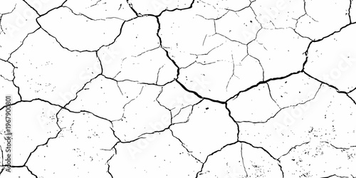 Closeup of dry fissure ground. White dried and cracked ground earth background.Gray crack on earth texture. erosion.	