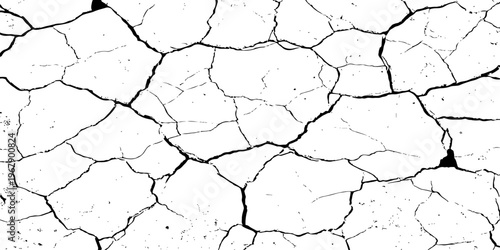 A high-contrast, black and white texture overlay of extensively cracked and distressed dry ground, featuring jagged, organic fissures and subtle granular details against a stark white background.	