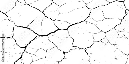 The white background features irregular patterns resembling parched earth.Gray textured background with blank space.Cracked white background with a dry, textured style.	