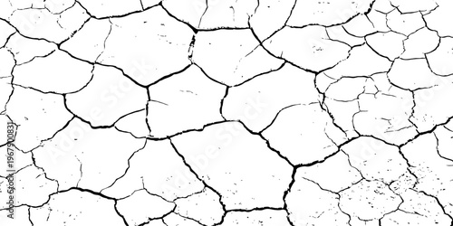 Black and white cracked ground pattern, showcasing dry, broken surface lines with high contrast, ideal for distressed textures, vintage effects, or abstract graphic backgrounds.	