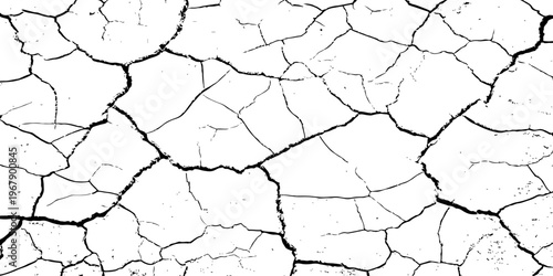 A high-contrast, black and white texture overlay of extensively cracked and distressed dry ground, featuring jagged, organic fissures and subtle granular details against a stark white background.	