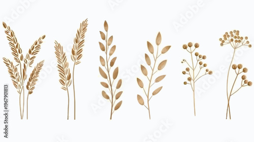 Watercolor illustration of varied dried plants on a white background