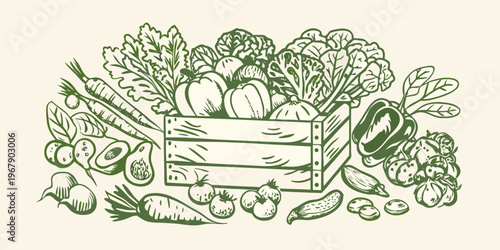 A bountiful sketch of fresh vegetables overflowing from a wooden crate