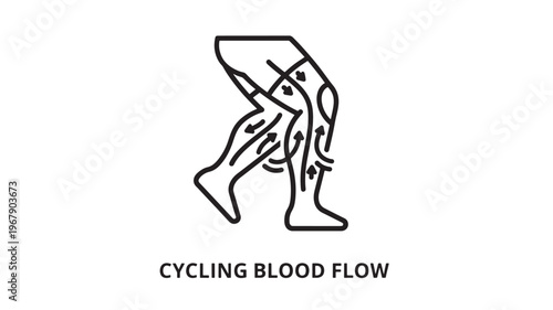 This illustration depicts a human leg with highlighted veins to demonstrate blood flow and circulation, useful for educational materials on health, anatomy, and wellness.