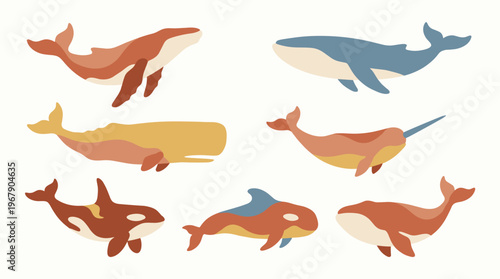 Colorful illustration of various whale species.