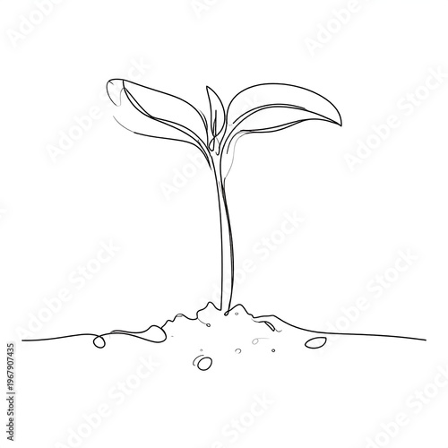 A minimalist line drawing of a young plant sprouting from the ground