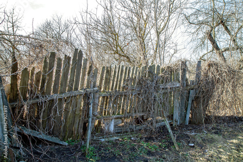 Εκτύπωση καμβά An old crooked wooden fence made of boards