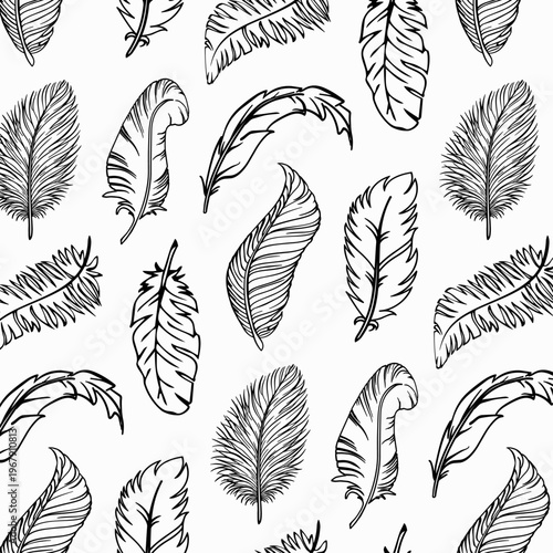 Hand Drawn Feather Seamless Pattern in Black and White Vector Style