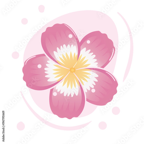 Illustration of a pink sakura flower with a yellow and white center, in a simple modern style on a soft abstract background, suitable for spring themes, decoration, and minimalist design