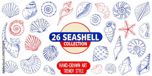 Collection of hand drawn seashells and a single red starfish illustration
