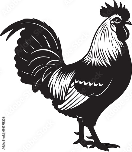 Rooster Black Silhouette Vector Farm Chicken Animal Illustration