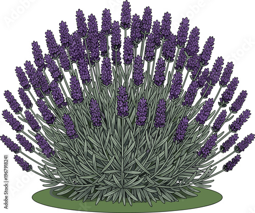 Fire, hydrant, icon, set, showing, outline, and, silhouette, styles, for, emergency, safety, firefighting, equipment, city, infrastructure, vector, isolated, on, white, background.