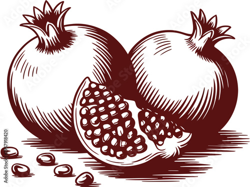 Ripe pomegranates and seeds rendered in a detailed woodcut style, symbolizing abundance and health