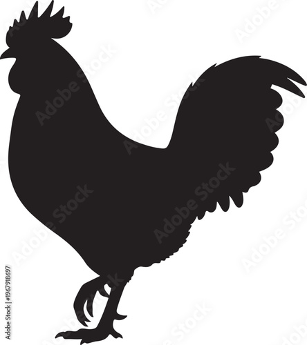 Rooster Black Silhouette Vector Farm Chicken Animal Illustration