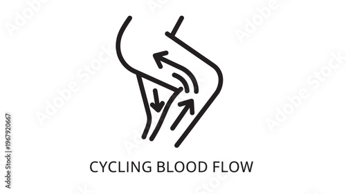 A simple black line drawing illustrating blood circulation, with arrows indicating cycling blood flow, on a white background.