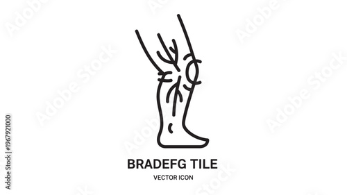 a medical illustration of a leg with highlighted veins, used for educational or healthcare purposes