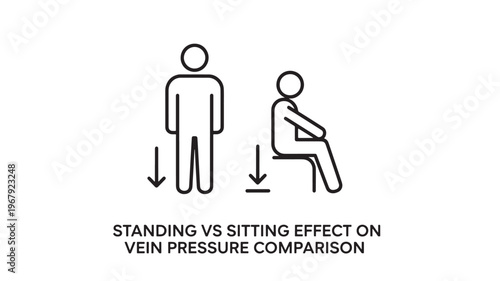 Infographic comparing standing and sitting effects on vein pressure, medical illustration for healthcare and education