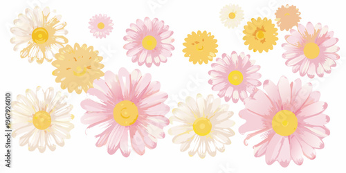 A collection of colorful daisy flowers arranged on a white background