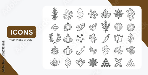 Spice and herb outline icon set with garlic, ginger, chili, and seasoning ingredients