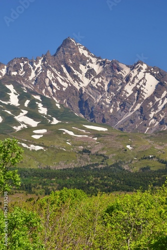 Wallpaper Mural 利尻島　初夏の風景 Torontodigital.ca