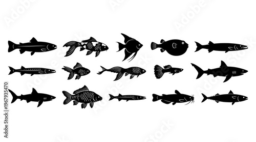 "Fish Silhouettes Vector Illustration, Aquatic Animal Shapes, Black Marine Species, Distinct Fins, Streamlined, Angelfish, Pufferfish, Shark Forms, Artistic Design, Zoology Reference, Ocean Life"