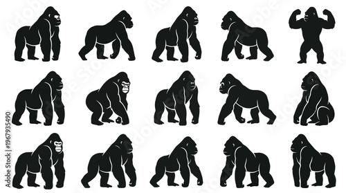 "Gorilla Silhouettes Vector Illustration, Powerful Animal Poses, Black Wildlife Shapes, Muscular Build, Upright, Walking, Sitting, Crouching, Flexing Arms, Artistic Design, Zoology Reference"