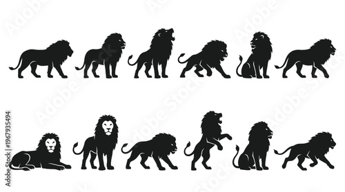 "Lion Silhouettes Vector Illustration, Majestic Animal Poses, Black Wildlife Shapes, Detailed Mane, Standing, Walking, Sitting, Lying Down, Artistic Design, Zoology Reference, Powerful Predator"