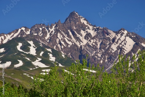 Wallpaper Mural 利尻島　初夏の風景 Torontodigital.ca
