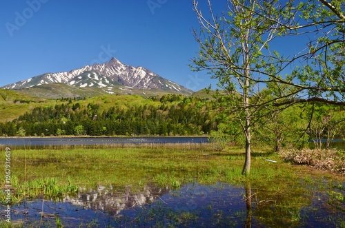 Wallpaper Mural 利尻島　初夏の風景 Torontodigital.ca