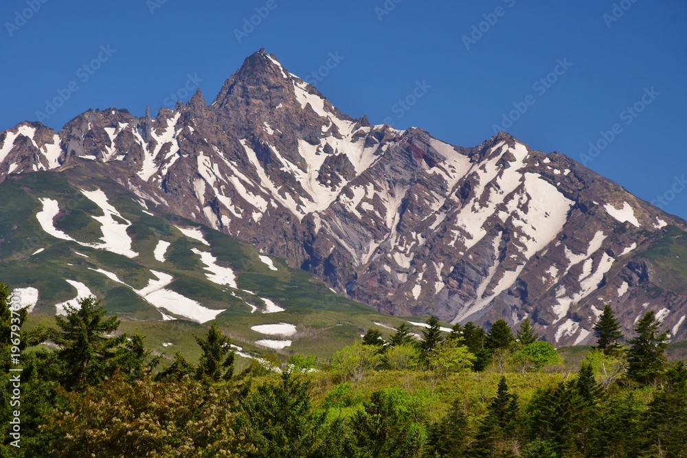 custom made wallpaper toronto digital利尻島　初夏の風景