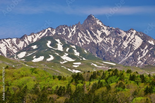 Wallpaper Mural 利尻島　初夏の風景 Torontodigital.ca