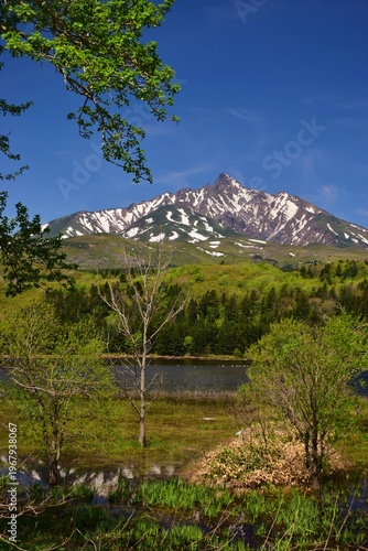 Wallpaper Mural 利尻島　初夏の風景 Torontodigital.ca