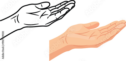 Human Open Hand Palm Upward Gesture Vector Illustration Set on White Background