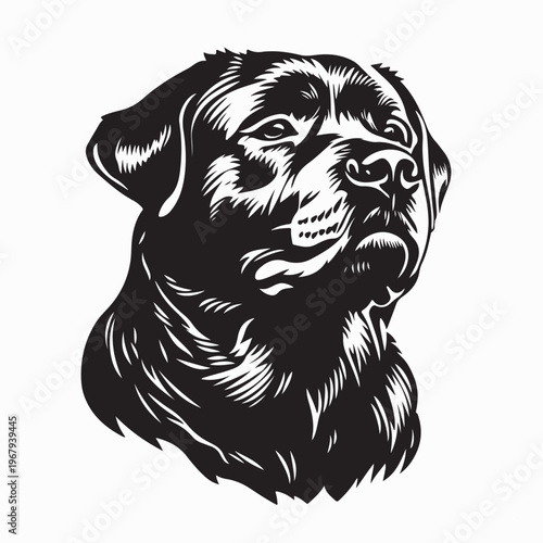 Elegant Rottweiler Dog Silhouette for Pet Breeders Logo Vector