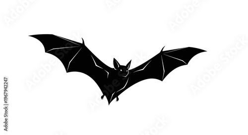 Black bat silhouette, flying mammal icon, Halloween symbol, animal illustration
