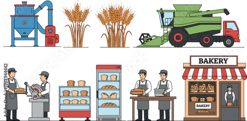 Food production vector illustration showing wheat harvest, processing machine, combine harvester, bakery, bread making, workers and agricultural supply chain system