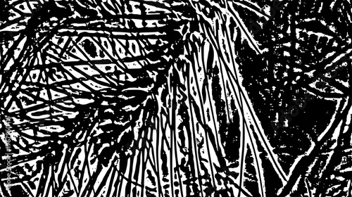 black and white background