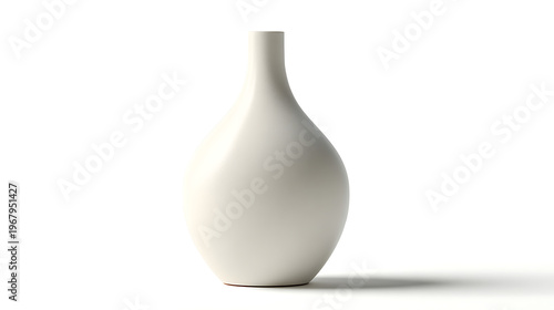 White vase with elegant indoor plant isolated