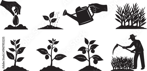 Planting and growing plants with gardening tools and care