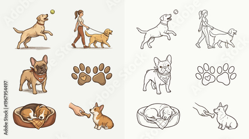 Collection of illustrations depicting various dog breeds and their activities, including playing fetch, walking, resting, and training, presented in both colored and line art styles.