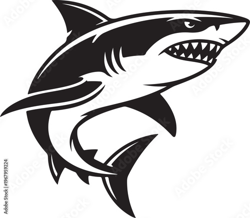 Hungry Great White Shark, Wild Marine Animal