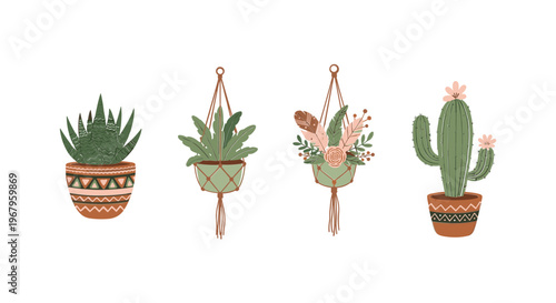 Collection of Potted Cacti and Succulents 1.