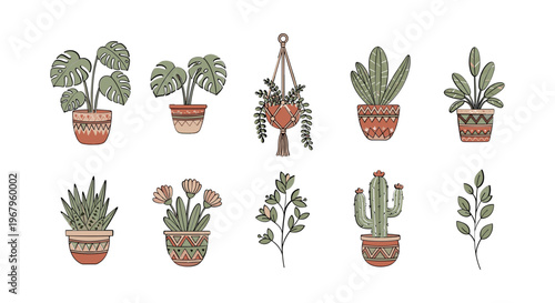 Collection of Potted Plants and Greenery 1.
