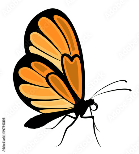 The silhouette of butterfly with yellow wings.