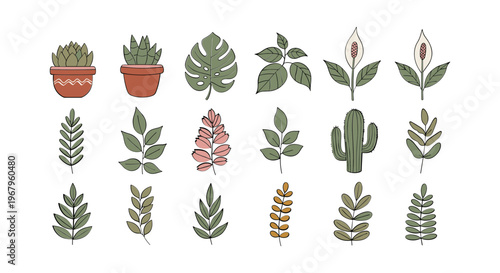 Collection of Various Cartoon Plants and Cacti.