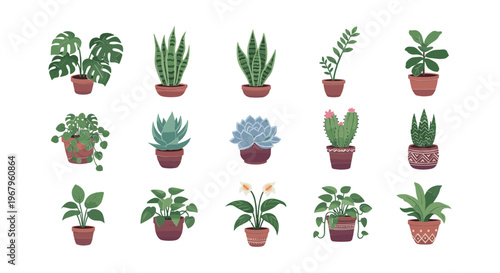 Collection of Various Potted Houseplants and Succulents.