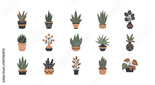 Collection of Various Potted Plants and Cacti 3.