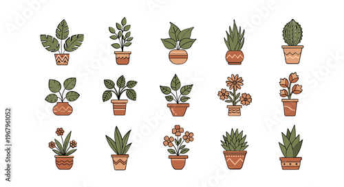 Collection of Various Potted Plants and Flowers 6.
